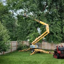 Dilworthtown, PA Tree Services Company